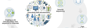 Integrating JGI Capabilities for Exploring Earth’s Secondary Metabolome